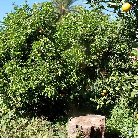 Feriehus El Liron