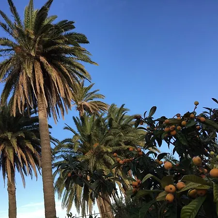 Casa de Férias El Lirón