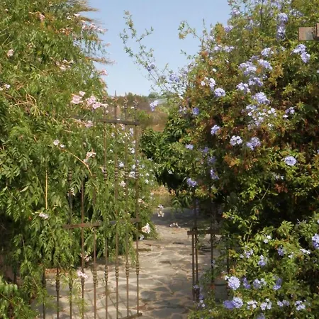 Casa de Férias El Lirón