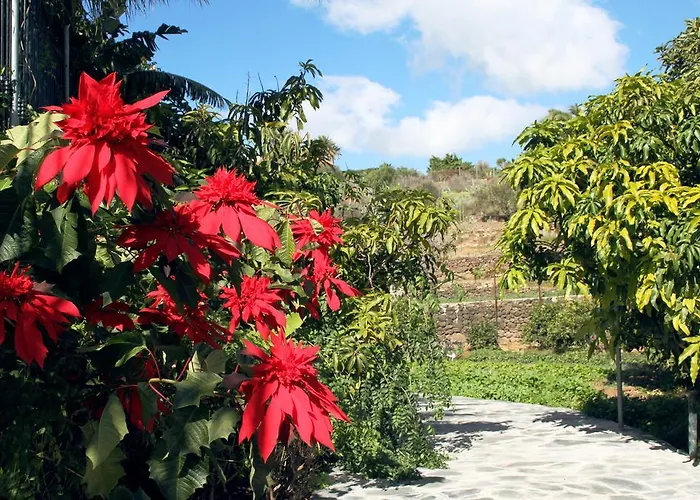 בית נופש El Liron