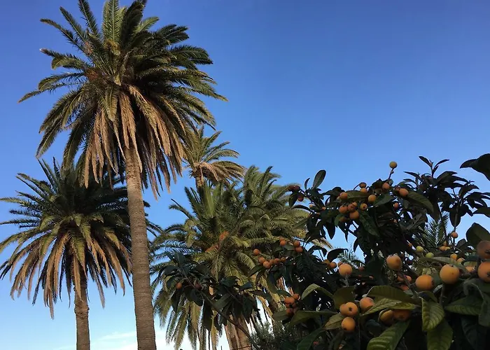 בית נופש El Liron