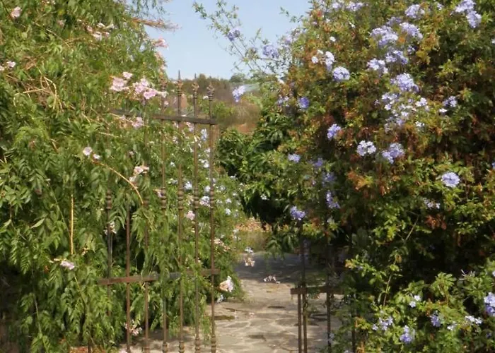 בית נופש El Liron