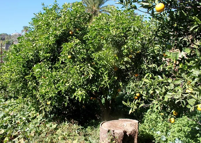 Feriehus El Liron